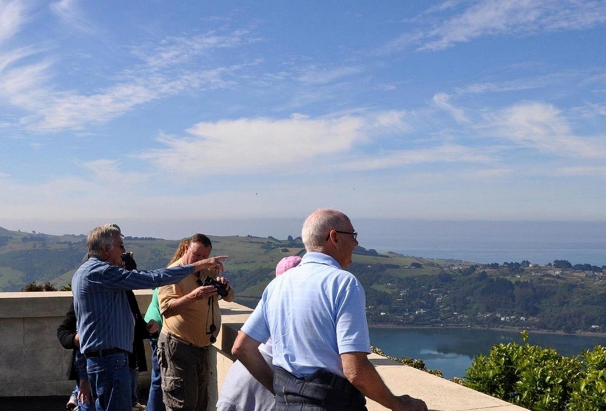 Dunedin: Städtetour mit Baldwin Street & Hafenblick