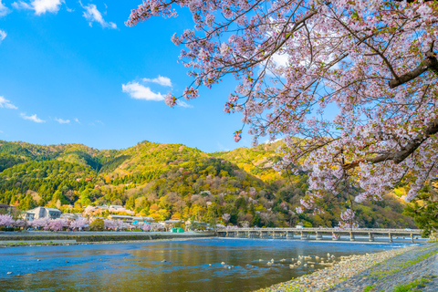 Kyoto/Osaka: Nijo Castle, Arashiyama, Kinkakuji Day Tour Kyoto Full Day Tour | Depart from Kyoto 9:00 AM