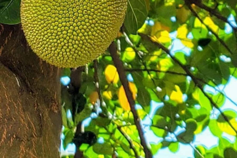 Farma przypraw, Stone Town, Prison Island i piaszczysta łacha NakupendaWYCIECZKA PRYWATNA BEZ ODBIORU Z HOTELU I TRANSPORTU POWROTNEGO