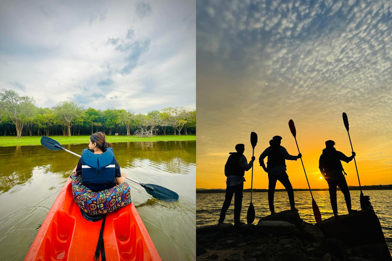 From Sigiriya: Kayaking Through Floating Flowers at Kanthale
