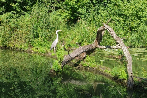 Bratislava: A Fairy Tale Day in Moravia’s Wine Country - CZ Private Group - from Bratislava