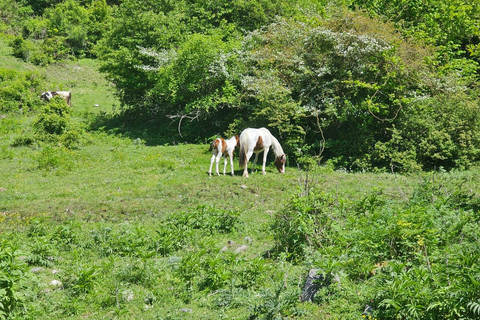 From Baku: Hidden Garanohur Lake Forest Trek