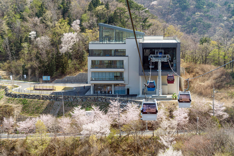 Oedo Island Botania & Geoje Private Day Tour from Busan