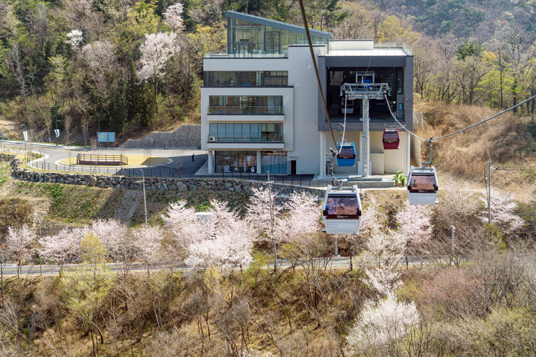 Oedo Island Botania & Geoje Private Day Tour from Busan