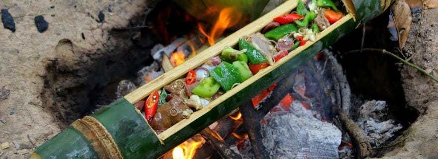 Luang Prabang : cours de cuisine dans la forêt de bambous et visite d'une ferme