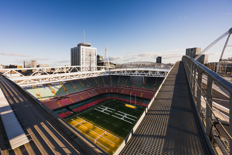 Cardiff: Principality Stadium Roof Walk Adult or Child