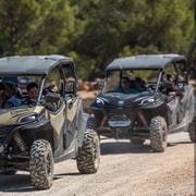 Ibiza: excursión en buggy para explorar playas y vistas únicas
