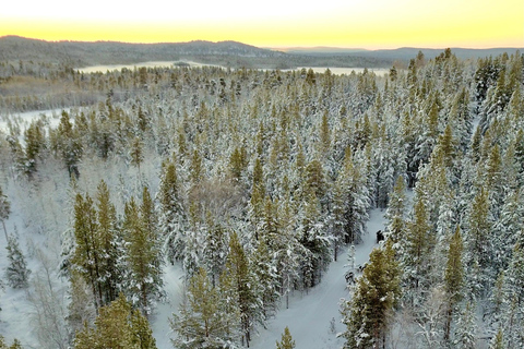 Saariselkä: Husky Safari with kennel visit
