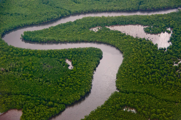 Santuario de Aves Caroni: Kayak en los Humedales