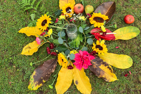 Madeira: Fanal Forest Tree Connection Ceremony &amp; Picnic