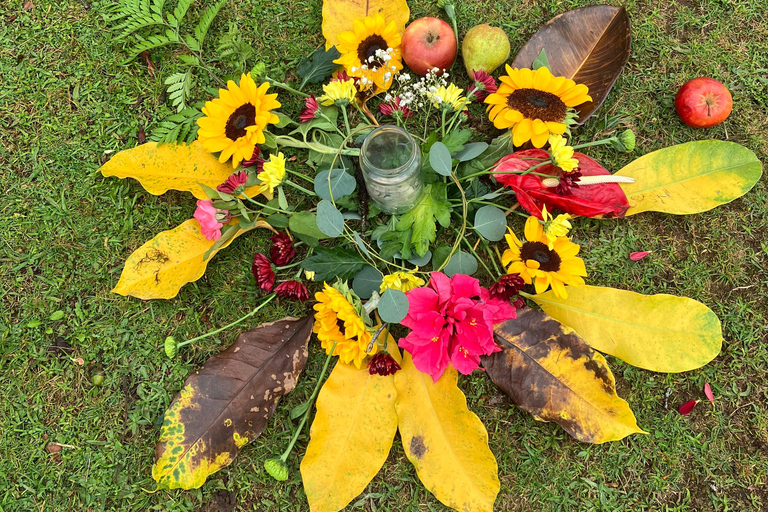 Madeira: Fanal Forest Tree Connection Ceremony &amp; Picnic