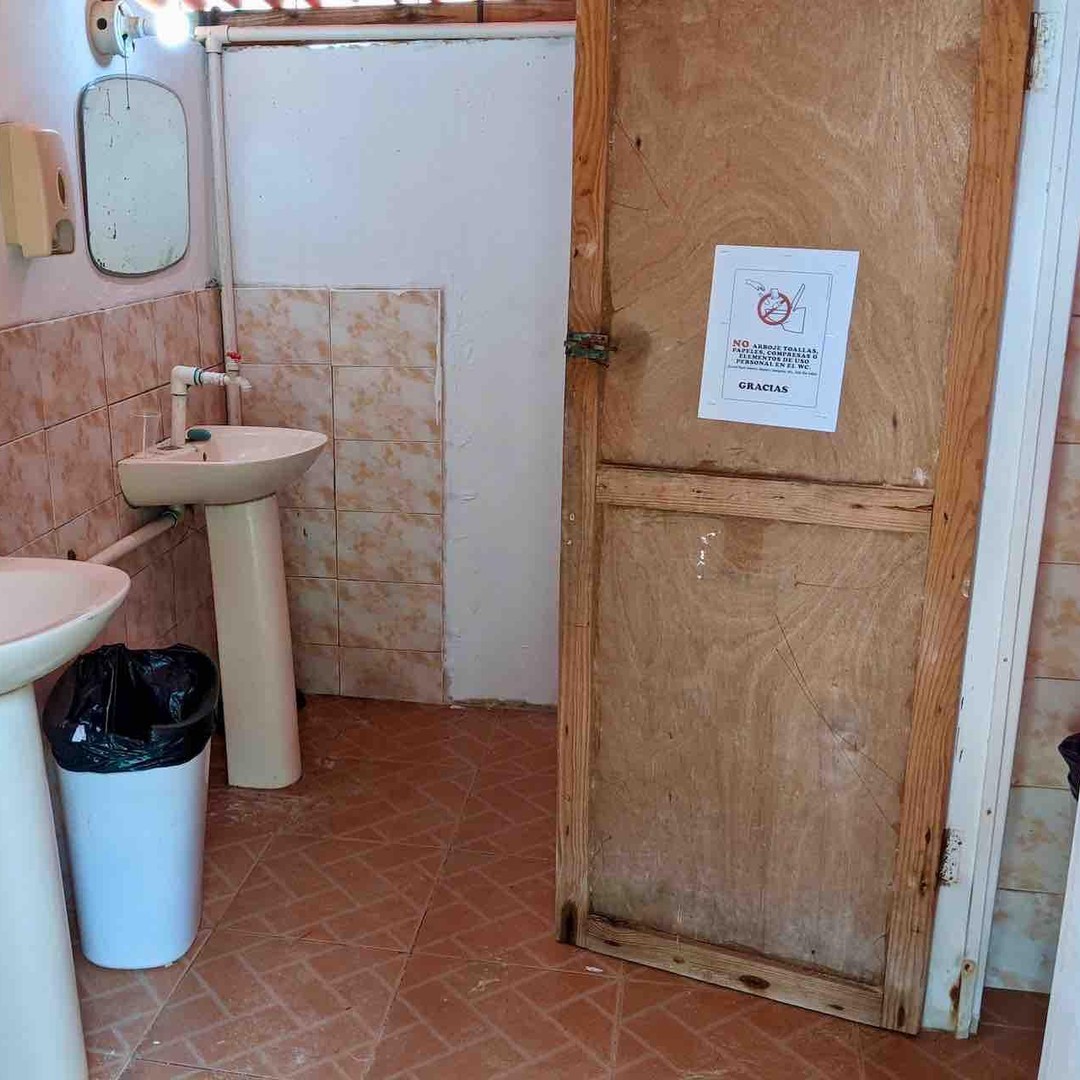 Galería de fotos para redes