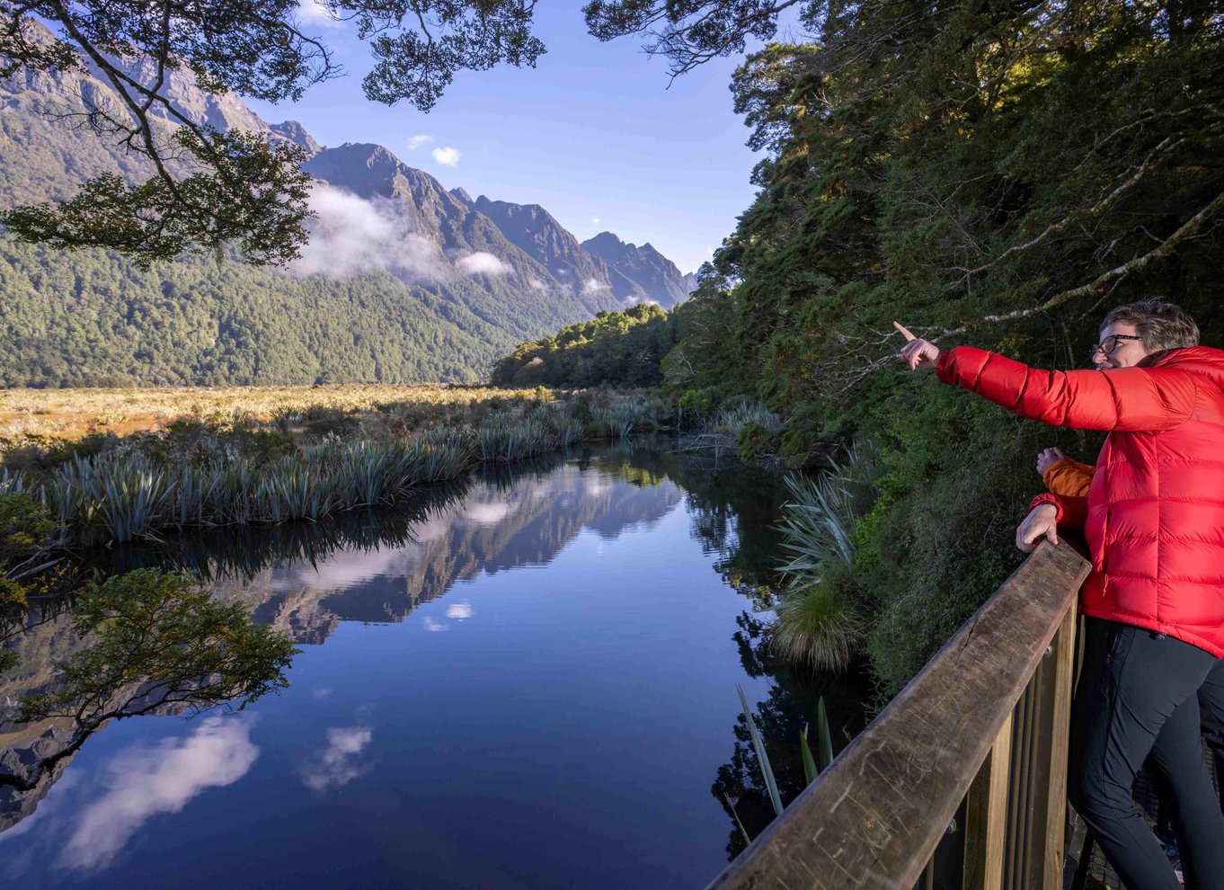 Fra Te Anau: Milford Sound bus, krydstogt og vandreture