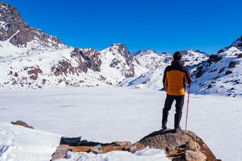 Pokhara: Gosaikunda Lake 7-Day Trek with Guide