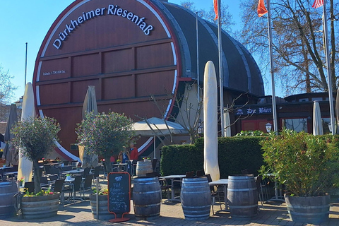 From Heidelberg: Palatinate Superlatives Adventure Tour with Panorama Box Seat Public Group Tour