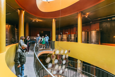 Tacoronte: Tour guidato della cantina con degustazione di vino e formaggioTacoronte: tour guidato di una cantina con degustazioni