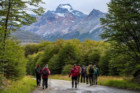 From Ushuaia: Tierra del Fuego Emerald Lagoon Trekking Tour