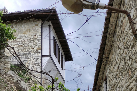 From Tirana: Berat and Belshi Lake Private Day Trip