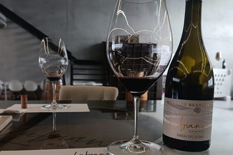 From Madrid: Ribera del Duero Wine Tour - 3 Wineries & Lunch