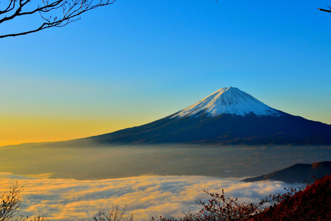 Mount fuji And hakone full day private tour Five star tour