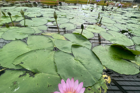 Beppu: Sound Bath Wellness Retreat at Ocean View Studio Private Sound Bath Wellness Retreat at Ocean View Studio