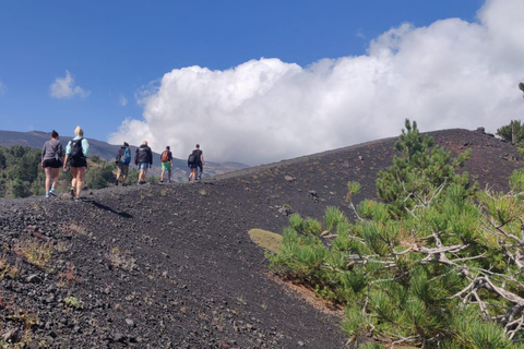 Från Catania: Etna Trekking 2000m med upphämtning