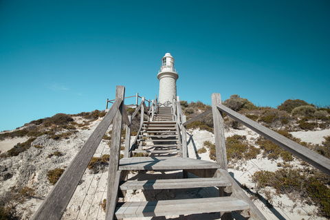 Vanuit Fremantle: SeaLink Rottnest veerboot en fietsverhuur7 AM Vertrek