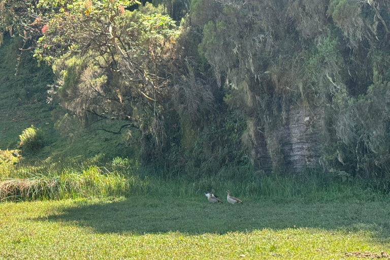 Borana National Park: Wildlife and Birdwatching Tour