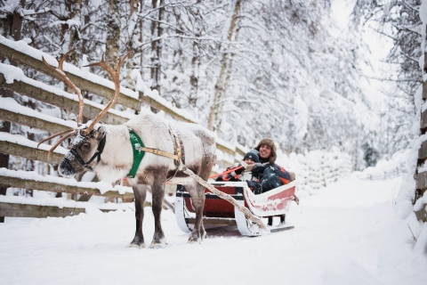 Rovaniemi: sneeuwscootertocht met rendierboerderijervaring