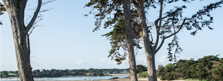Bretagne, Saint-Malo : balade en Rolls Royce