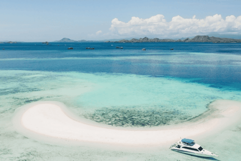 Tour en bateau d&#039;une journée à Komodo