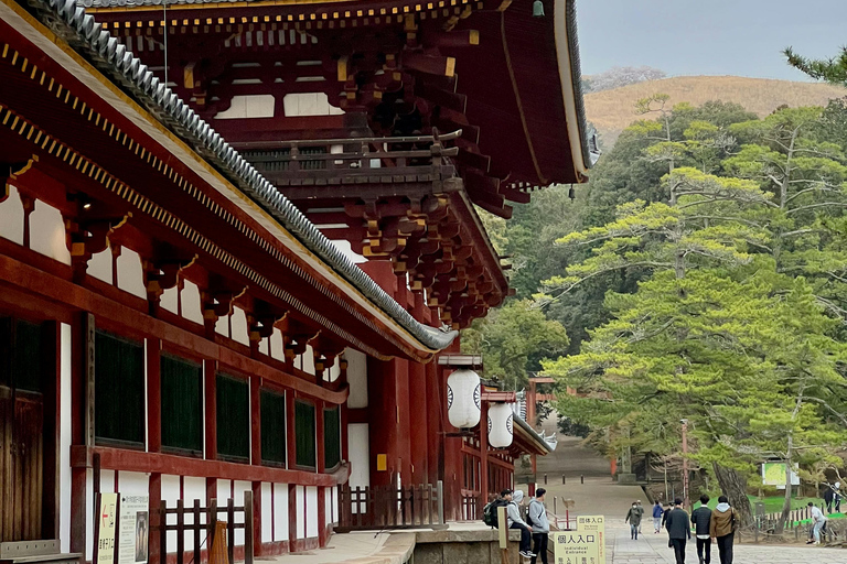 [Deer & Samurai History] Nara Guided Walking Tour+Photoshoot 3 Hours Walking Tour + Photo Service (small-group max. 6)