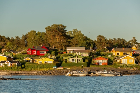 Oslo: Crucero turístico por el fiordo de Oslo en barco eléctrico