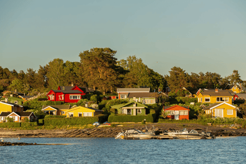 Oslo: Crucero turístico por el fiordo de Oslo en barco eléctrico