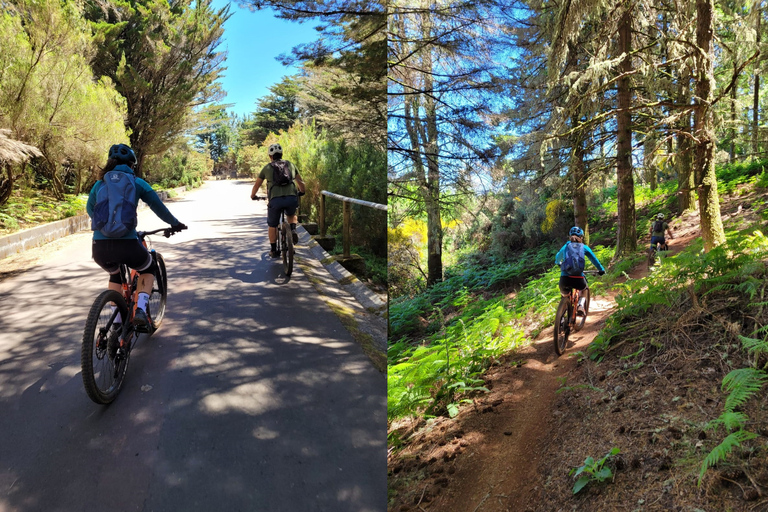 Madeira - Mountain Biking Tour