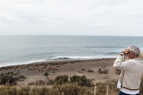 Peninsula Valdes Full Day Tour