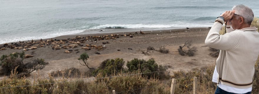 Visite d'une jounée de la péninsule de Valdes