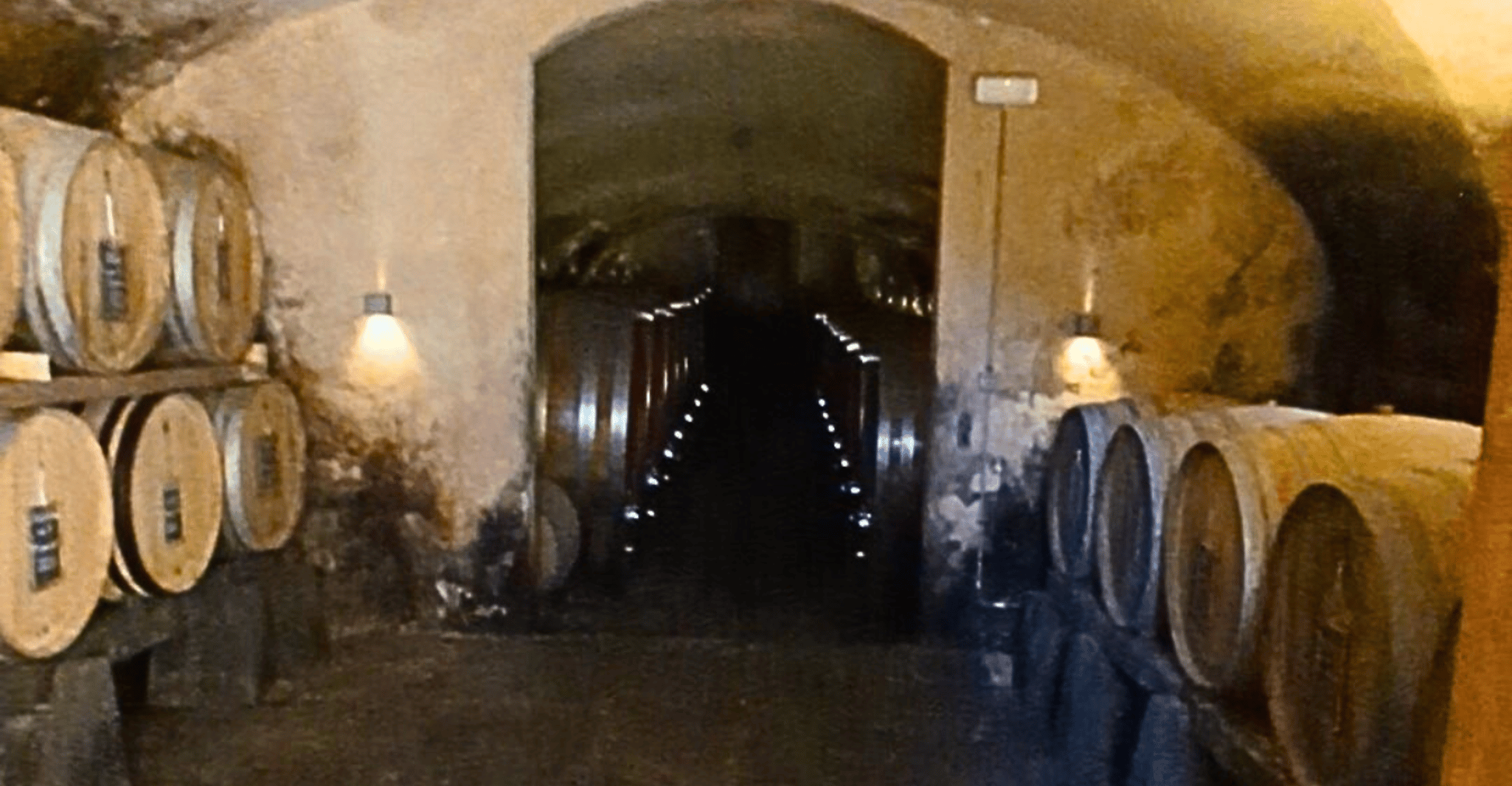 Florence: Horseback Riding Tour with Wine Tasting & Transfer photo 10