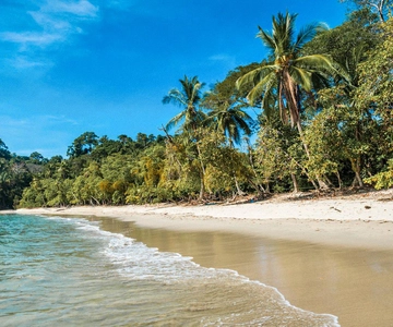 Quepos/Manuel Antonio: One-Way Shuttle Bus to/from San Jose