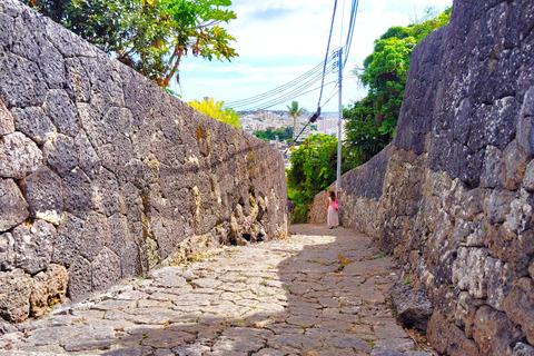 Naha: Shurijo Castle & Tamaudun Guided Walking Tour Morning visit