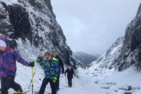 Guided Snowshoeing Adventure from Seward, Alaska 6-Hour Tour