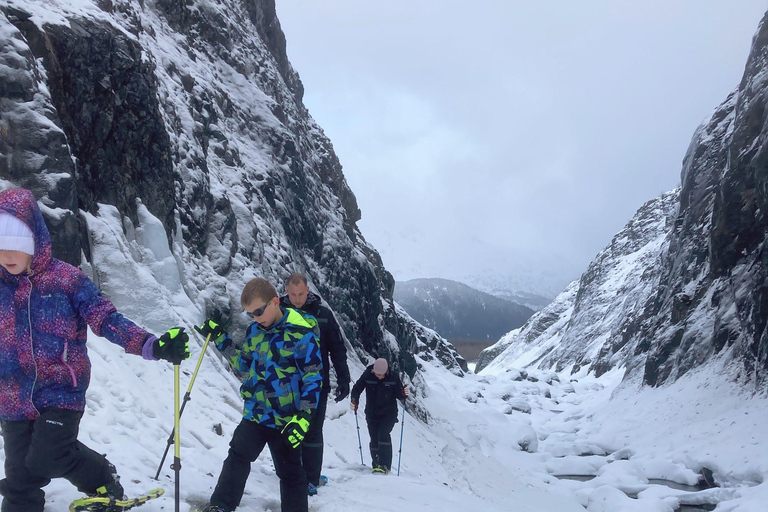 Guided Snowshoeing Adventure from Seward, Alaska 6-Hour Tour
