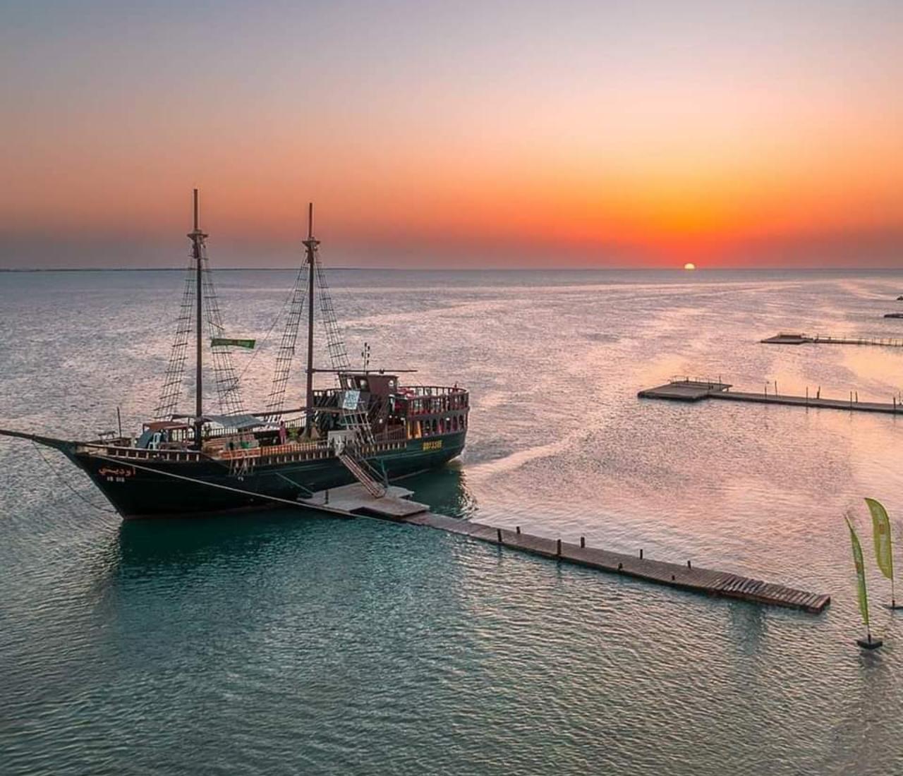 Djerba: Bootsfahrt zur Flamingoinsel mit Mittagessen & Delfin-Beobachtung