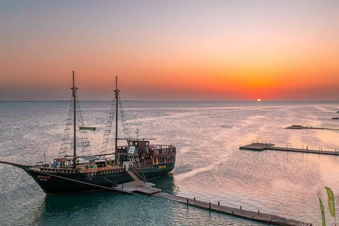 Djerba: Flamingo Island Cruise with Lunch & Dolphin Watching