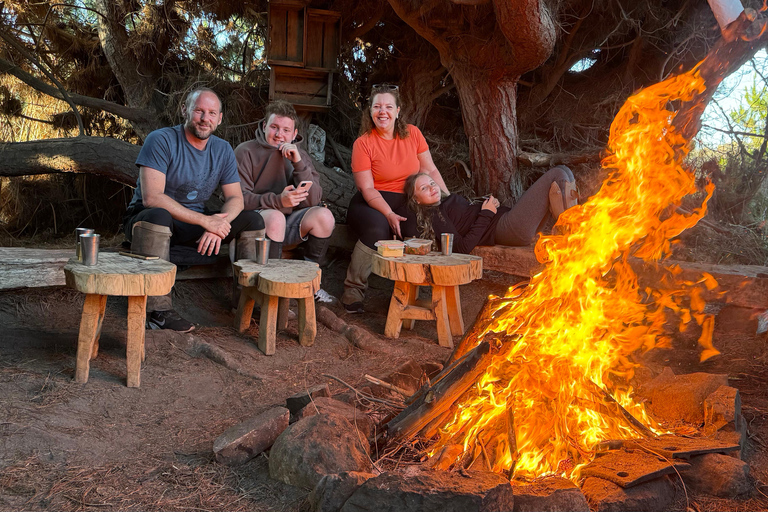 Vineyard, Valparaiso, Horseback Riding, Sea L &amp; BBQ Day Trip