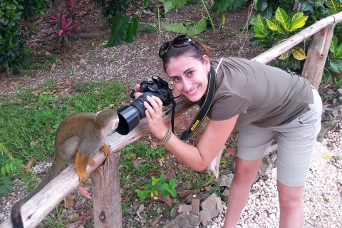 Punta Cana: Zipline-Abenteuer & Monkeyland-Eintritt