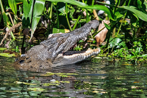 Matara: Wild Crocodile River Expedition