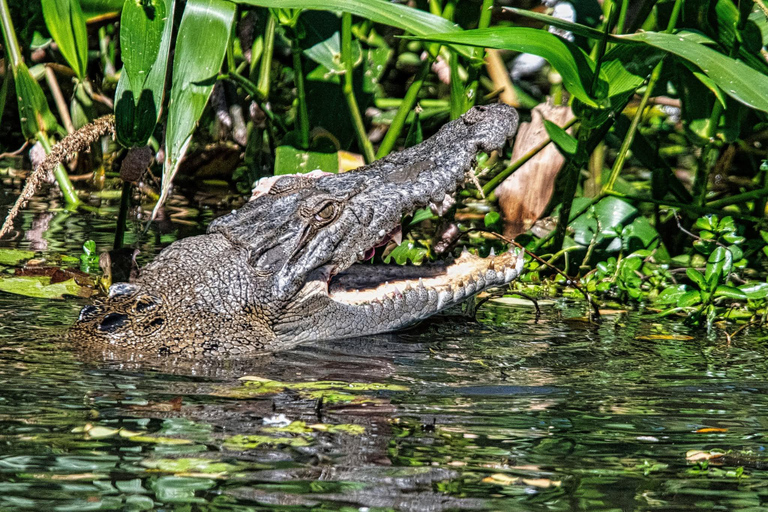 Matara: Wild Crocodile River Expedition