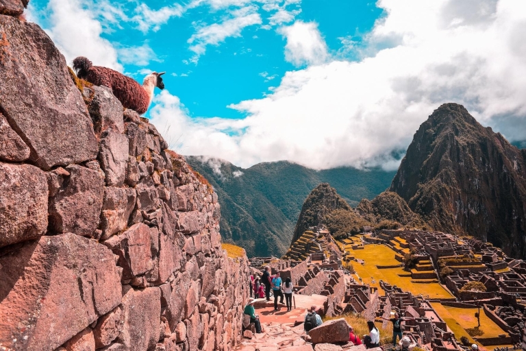 Pakiety wakacyjne Machu Picchu na 10 dni