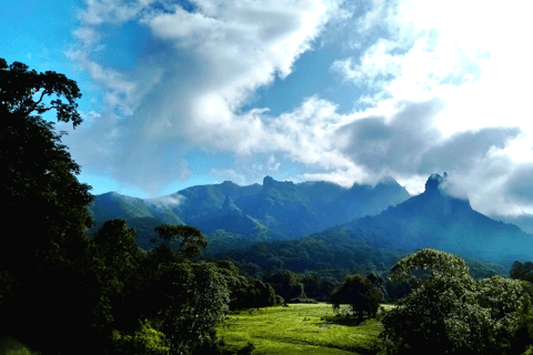 Addis Ababa: 6-Day Abijata Shalla NP & Bale Mountains Tour